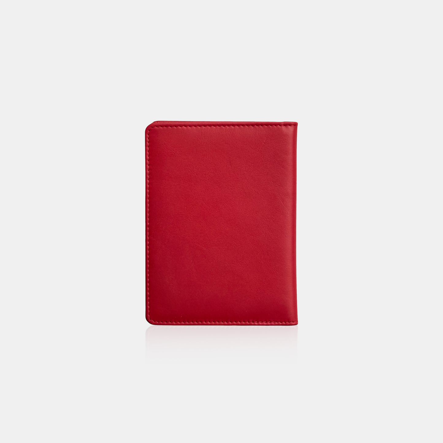 Passport Holder – P1